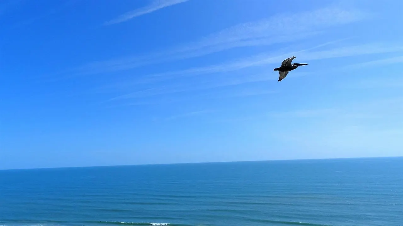 Penthouse Floor 1 Bedroom Resort Condo Direct Oceanfront Wyndham Ocean Walk - Daytona Funland 1908 Дейтона-Бич Апартаменты